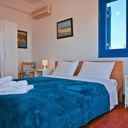 Daisy * 피스카던